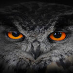 مدل های آماده معماری داخلی ساختمان به صورت سه بعدی