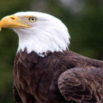 مدل های آماده معماری داخلی ساختمان به صورت سه بعدی