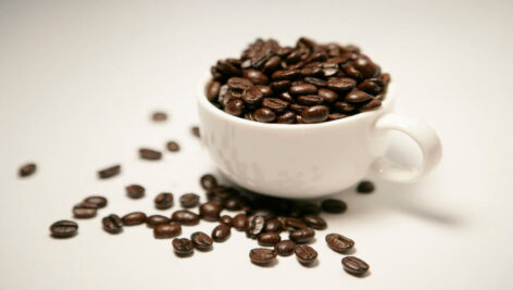 تصاویر استوک مفهومی با موضوعات مختلف