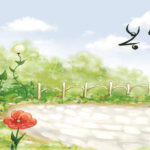 مجموعه تصاویر استوک با موضوع مواد غذایی