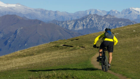 مجموعه تصاویر استوک با موضوع طبیعت